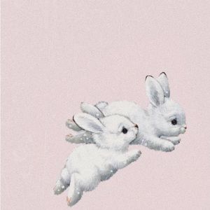 Meet your Posher, Riley